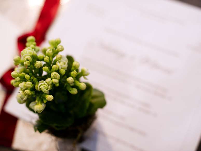 <p>A Papel & Estilo também traz opção de convite ecológico. Se plantar o papel, nasce uma flor</p>