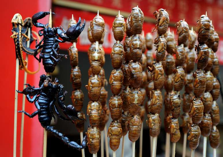 Em Pequim é possível experimentar diferentes tipos de insetos em barracas nas ruas