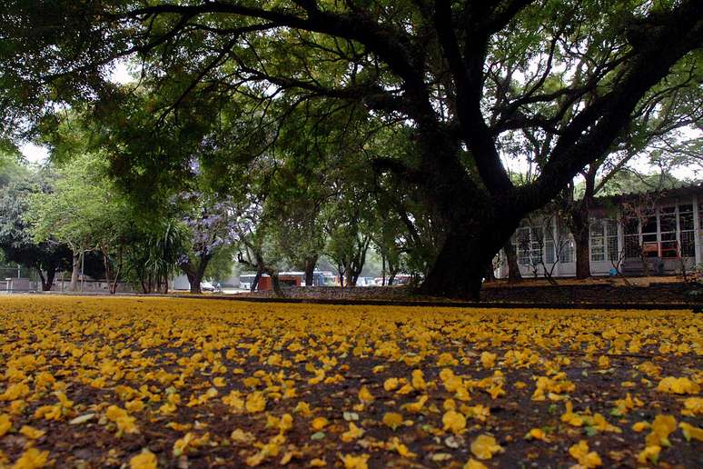 A USP é uma das universidades que aparecem no ranking