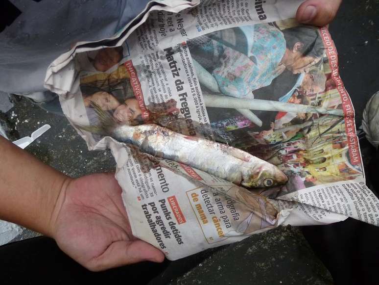 <p>Torcedor exibe uma das sardinhas atiradas no gramado da Vila Belmiro</p>