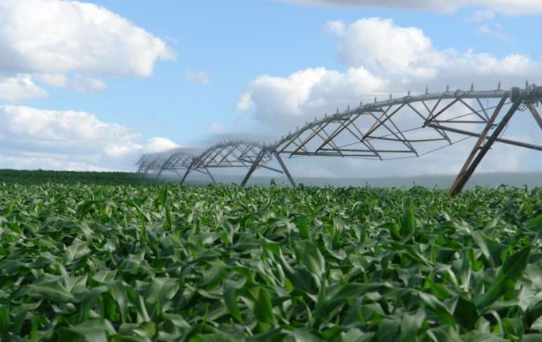 Para aumentar a produtividade, agricultor deve, primeiramente, trabalhar com rotação de culturas. Essa medida já reduz erosão e proliferação de pragas