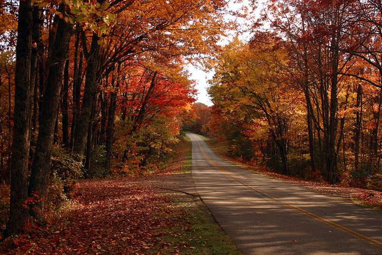 <p>A estrada possui 755 km entre os estados de Virginia e Carolina do Norte</p>