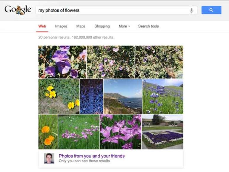 Ao fazer uma pesquisa por "minhas fotos de flores", algoritmo vai buscar as imagens com flores postadas na rede social