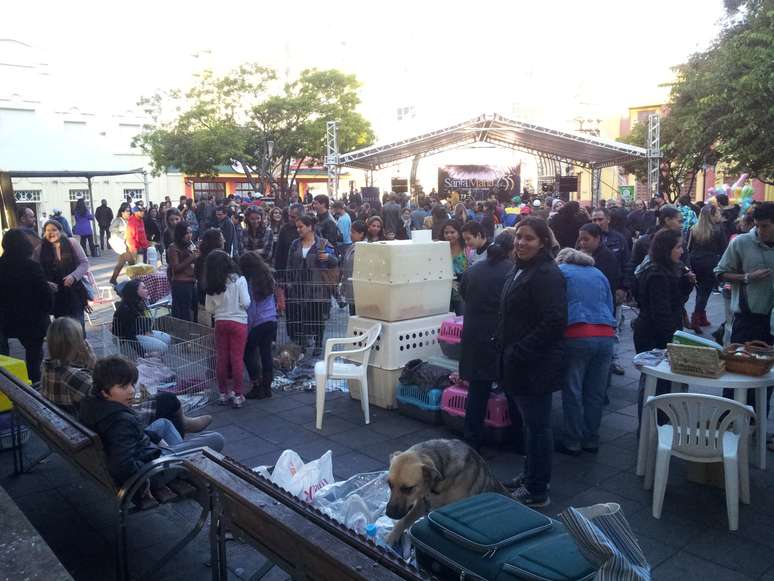 A feira de animais foi realizada neste domingo, durante as comemorações do aniversário de Santa Maria