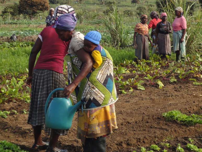 Intenção da Embrapa é reduzir pobreza na África e conquistar parte do mercado agrícola. Na foto, Moçambique, um dos países com os quais o Brasil mais coopera