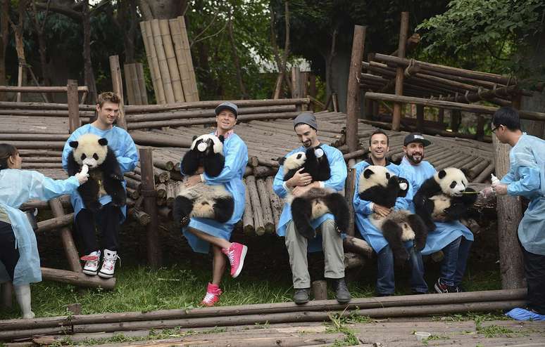 <p>Os integrantes do grupo Backstreet Boys estiveram nessa quinta-feira (30) na Base de Reprodução de Pandas em Chendgu</p>