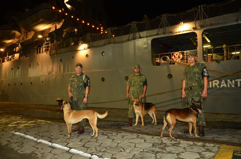 Cães farejadores foram integrados à tropa da Marinha