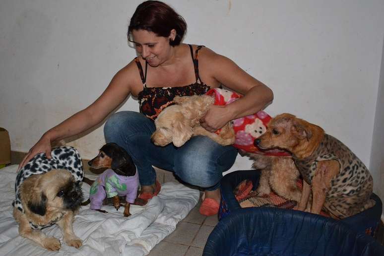 <p>Bórika mostra parte de seus 39 cachorros com os agasalhos doados</p>