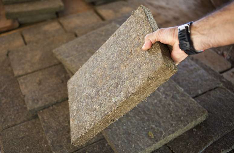 Agente do Senad exibe bloco de maconha apreendido 