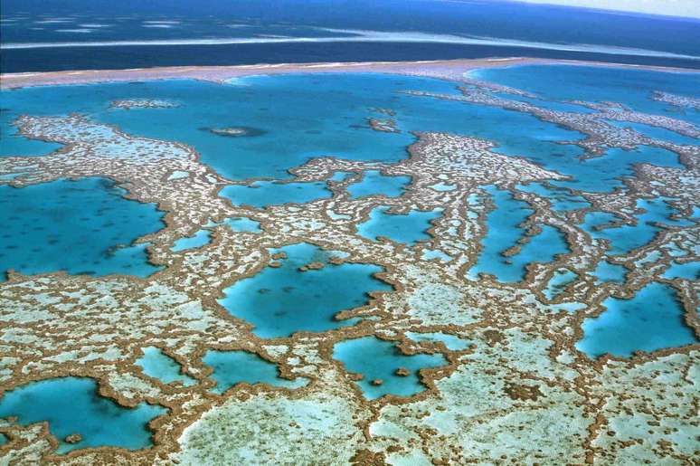 <p>A Grande Barreira de Coral da Austrália é uma das maravilhas que estão ameaçadas</p>