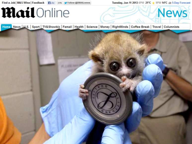 Ainda sem nome definido, casal de gêmeos nasceu no El Paso Zoo