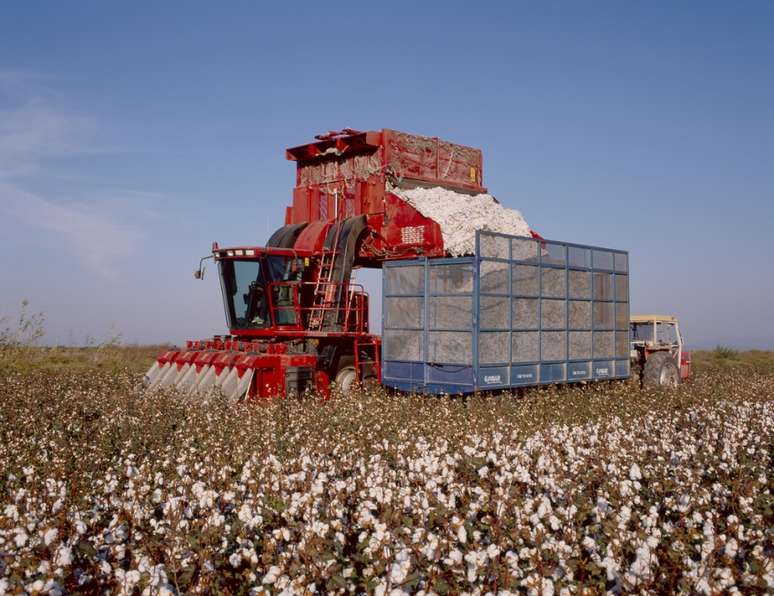 Importação é opção para equipamentos agrícolas específicos, como a colheitadeira de algodão