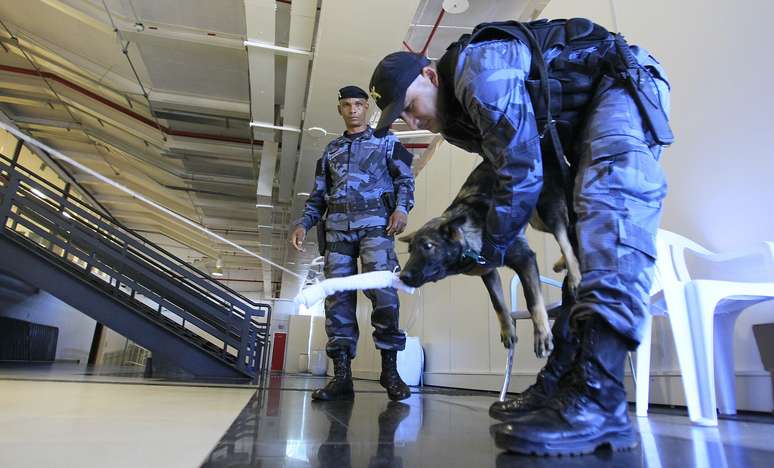 <p>Policiais e Forças Armadas têm treinamento especial para Brasil x Japão deste fim de semana</p>