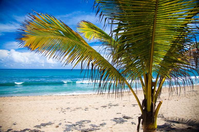 Além de ser uma das mais modernas cidades do Caribe, a capital de Porto Rico tem praias belíssimas, como a de Condado, que fica no distrito de Santurce