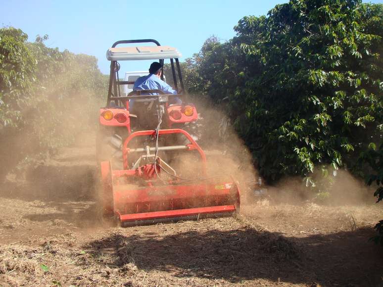 <p>Expocafé atesta força do café em Minas Gerais, responsável por quase 25% da produção mundial. Um dos destaques da feira foi a apresentação de novas cultivares resistentes à ferrugem</p>