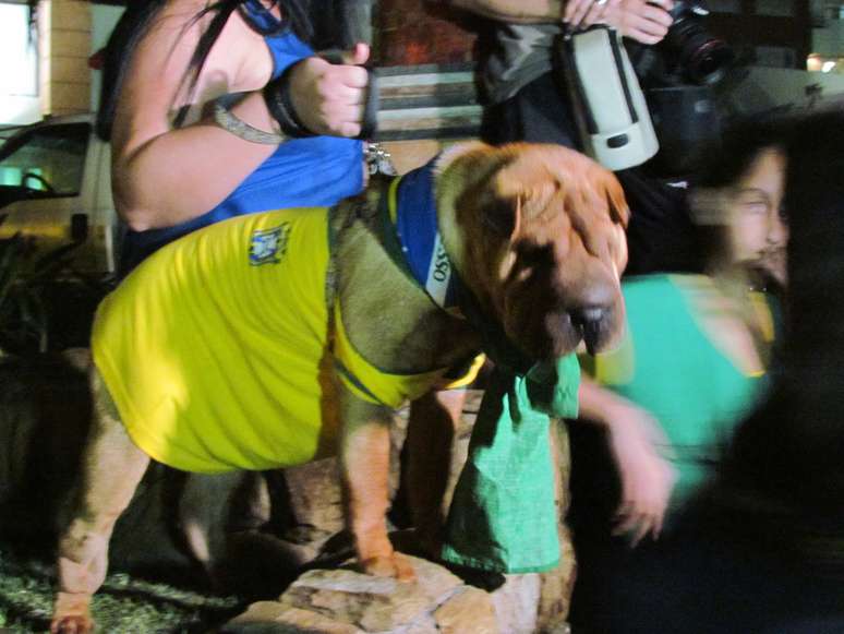 <p>Torcedora vestiu a cachorrinha, chamada Luma, com o uniforme do Brasil</p>
