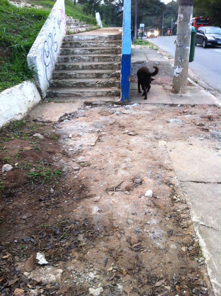 Calçada da rua Diógenes Ribeiro de Lima, na Lapa, zona oeste da capital, obriga pedestres a andarem pela rua em dias de chuva