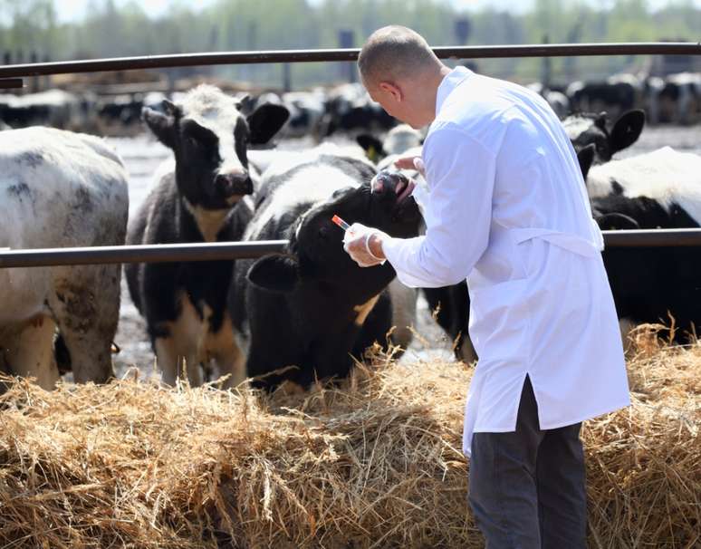 Calendário sanitário da propriedade deve ser construído com base na avaliação de um médico veterinário