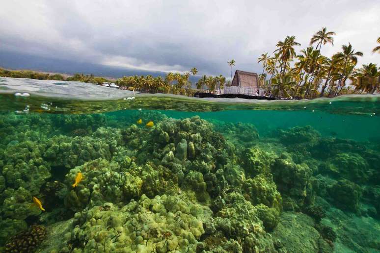 <p>Formado de mais de 100 ilhas, o arquipélago havaiano tem oito ilhas principais, sete delas habitadas: a ilha de Hawaii, mais conhecida como Big Island (foto); Maui; Oahu; Kauai; Molokai; Lanai; e Niihau</p>