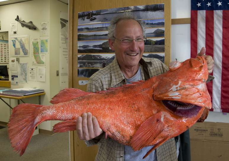 Henry Liebman posa com o peixe na sede do departamento de pesca do Alasca, em Sitka, no dia 21 de junho