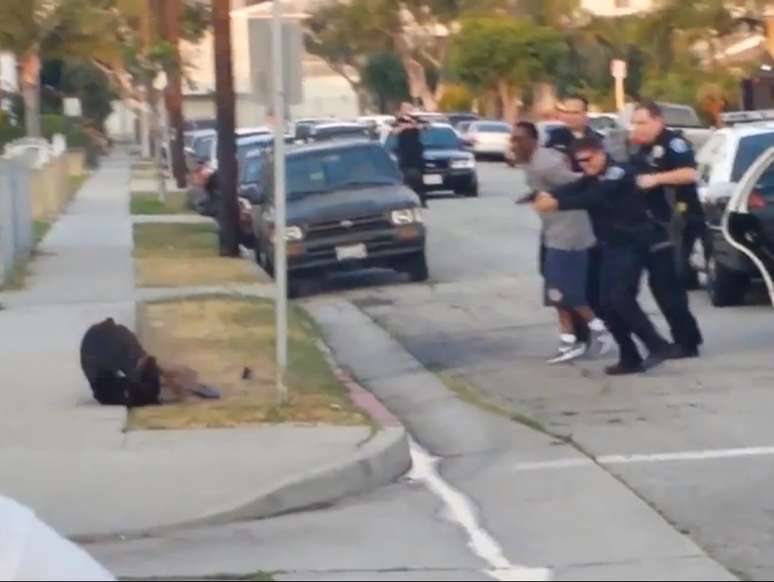 Frame de vídeo mostra o momento em que o cão é morto pela polícia