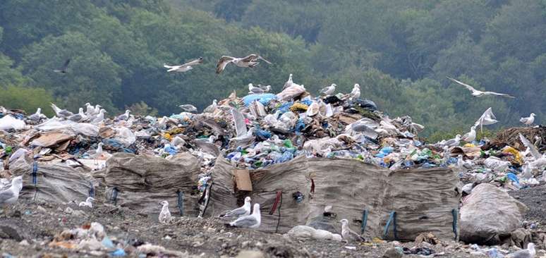 <p>Local de depósito do lixo preocupa ambientalistas</p>
