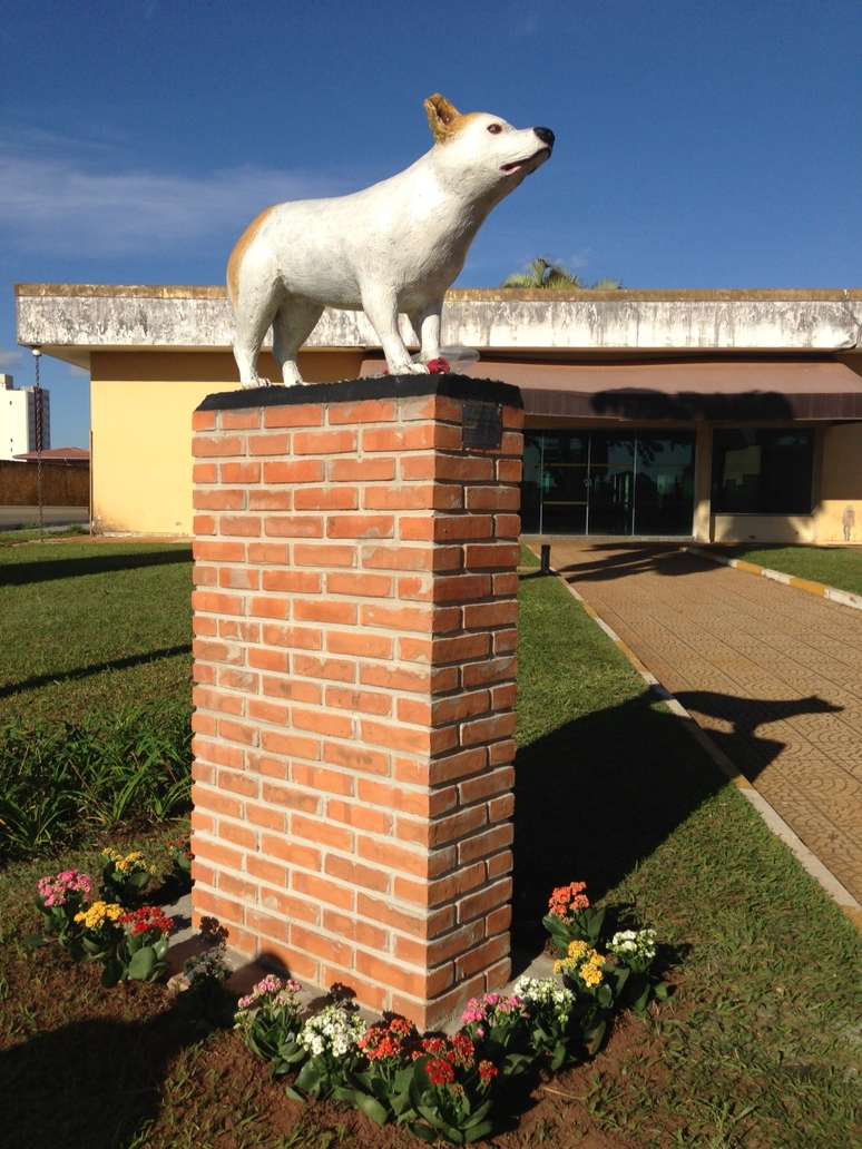 A estátua da cachorra foi colocada no jardim do cemitério