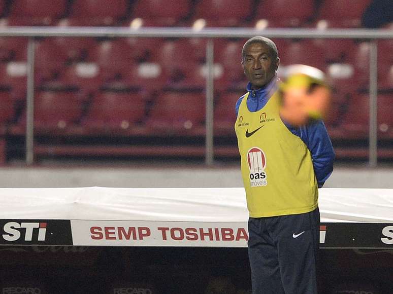 <p>Treinador faz bom trabalho com o Bahia durante o Brasileiro de 2013</p>