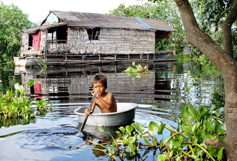 Região da Indo-Birmânia tem 5% do seu habitat original