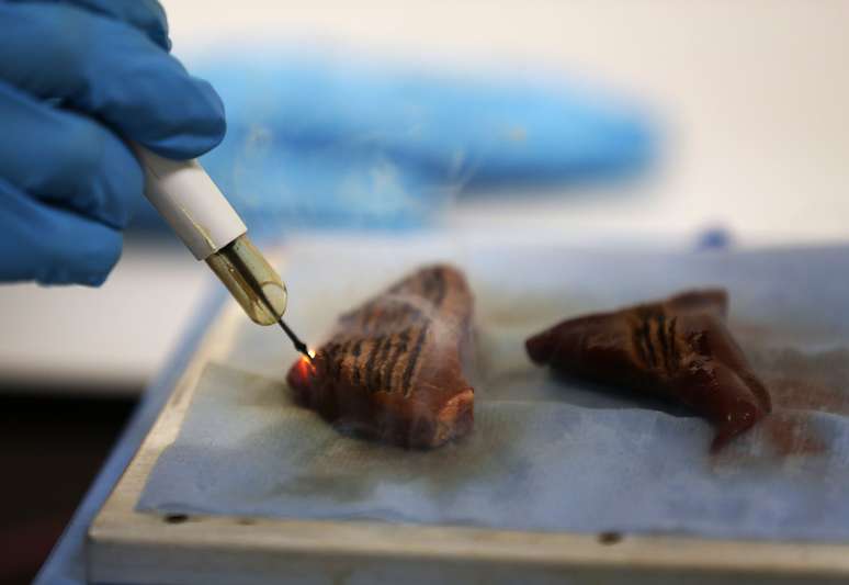 Cientista mostra "faca inteligente" em teste no músculo de um animal