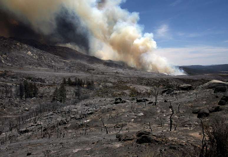 Chamas destruíram uma área de mais de 9,2 mil hectares