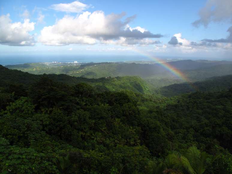 Localizada 56 quilômetros a leste de San Juan, a Floresta Nacional de El Yunque é uma reserva natural de 113 km2 localizada nas encostas da Serra de Luquillo, no nordeste de Porto Rico. O lugar atrai tanto portorriquenhos com sua natureza exuberante e paisagens de tirar o fôlego