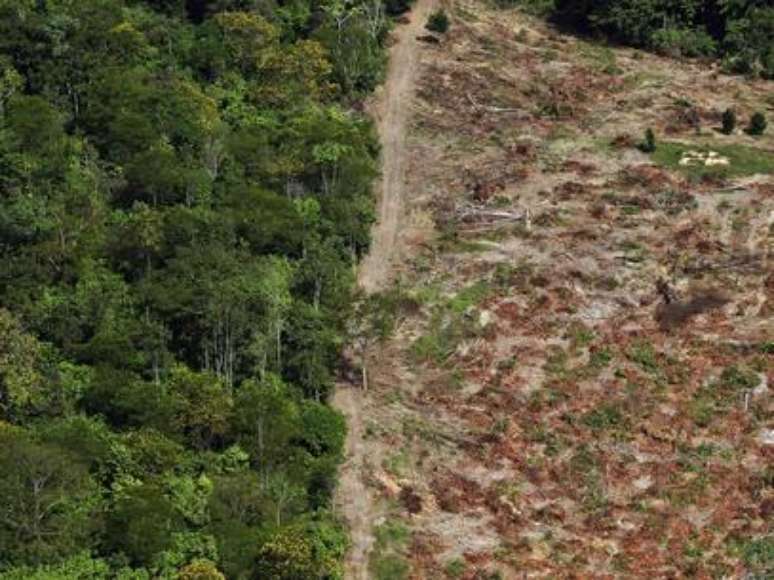 <p>O desmatamento é um dos pontos que preocupam os defensores da Amazônia</p>