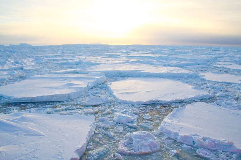 O estudo, realizado conjuntamente com a Divisão Australiana Antártica, alerta que os ecossistemas polares poderiam ser mais sensíveis à mudança climática do que se pensava anteriormente