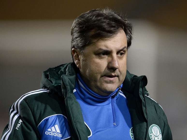 <p>Gilson Kleina preteriu André Luiz no Palmeiras</p>