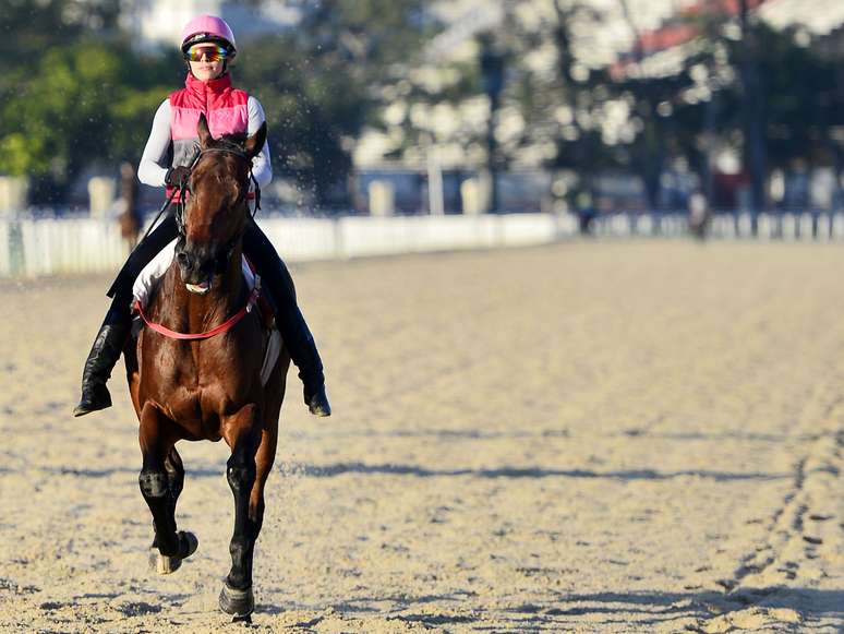 Mulher Jockey Com Seu Cavalo Marrom Selado Patenteando O Garanhão