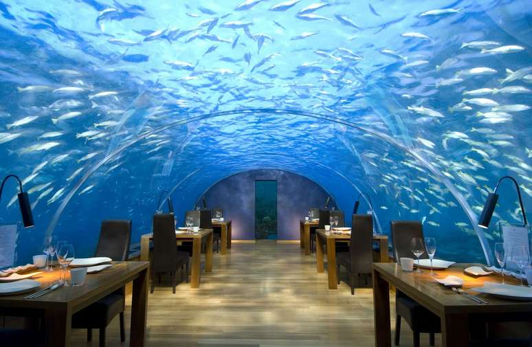 <p>Restaurante sob o mar encanta os turistas</p>
