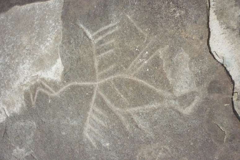 Gravuras rupestres (petróglifos) são alvo de depredação e, possivelmente, furtos em um sítio arqueológico localizado em terra indígena no município de São Gabriel da Cachoeira, na região do Alto Rio Negro, no norte do Estado do Amazonas