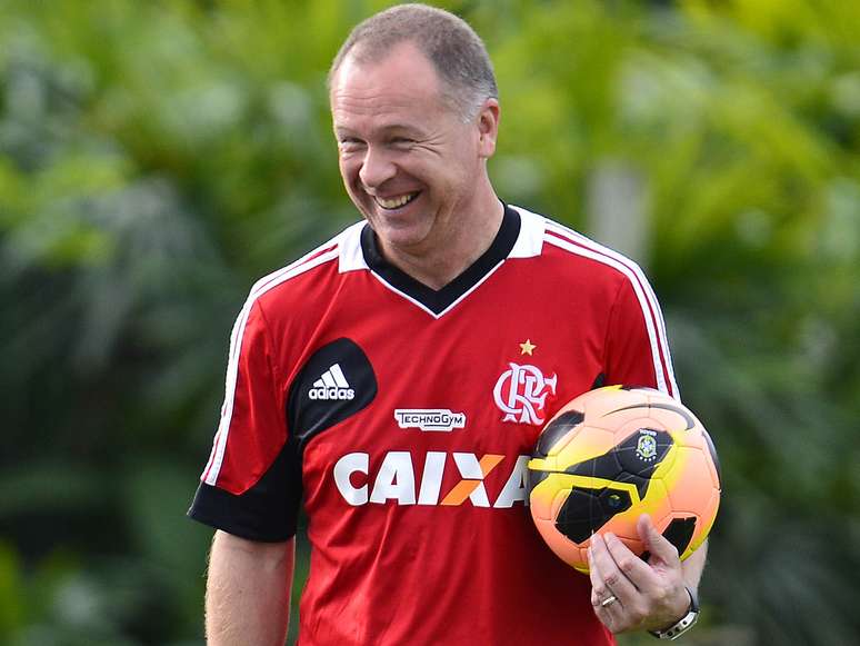 <p>Técnico desmentiu problemas com dirigentes ou com estrutura oferecida pelo Flamengo, creditando demissão à falta de evolução nos resultados da equipe</p>