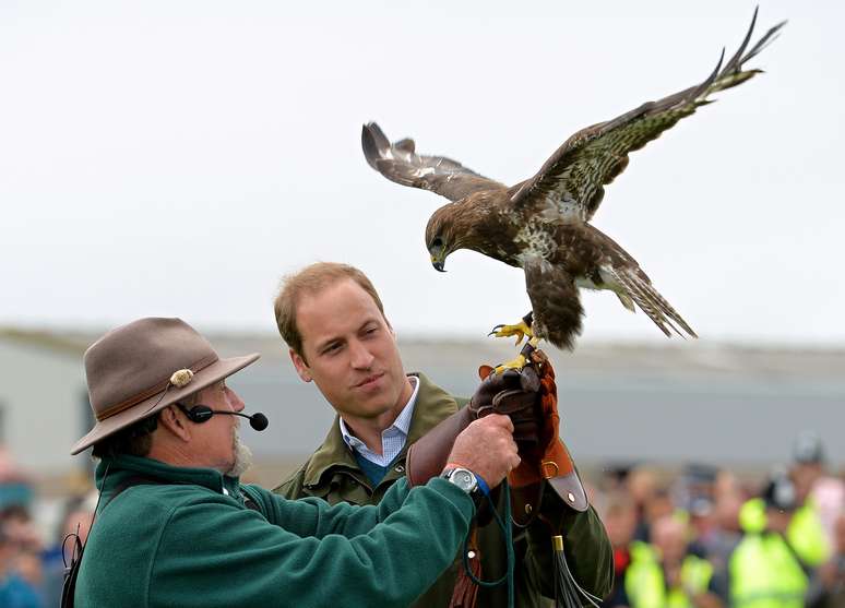 William recebe um falcão das mãos de treinador durante feira em Anglesey, no País de Gales