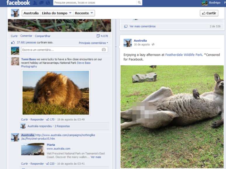 <p>Foto do canguru na página da Austrália no Facebook teve milhares de comentários</p>