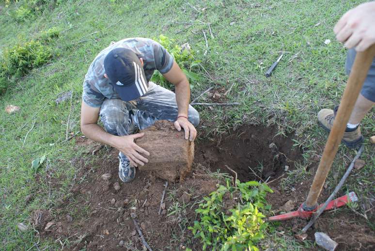 Lenhos petrificados usados no estudo foram coletados em sete localidades do Estado de São Paulo