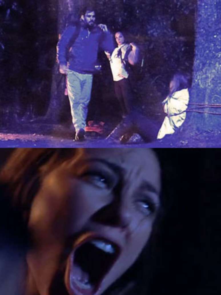 <p>Ninho abandona Paloma arrada em &aacute;rvore</p>