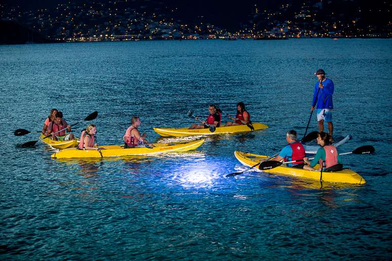 Caiaques com fundo transparente contam com sistema de iluminação LED, que possibilita uma bela visão do oceano durante a noite