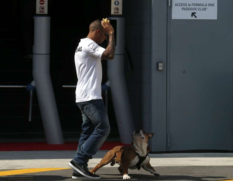 Lewis Hamilton, piloto da Mercedes na temporada 2013 da F&oacute;rmula 1, chegou &agrave; It&aacute;lia acompanhado mais uma vez de seu cachorro de estima&ccedil;&atilde;o, Roscoe; sucesso em circuitos do mundo todo, o buldogue brincou com Hamilton nos boxes antes do Grande Pr&ecirc;mio da It&aacute;lia deste final de semana