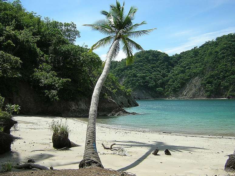 Já imaginou conhecer a ilha que serviu de inspiração para grandes obras como o livro Robinson Crusoé, de Daniel Defoe, ou o filme Jurassic Park, de Steven Spielberg? Pois este lugar existe, e fica a pouco mais de 500 quilômetros do litoral da Costa Rica