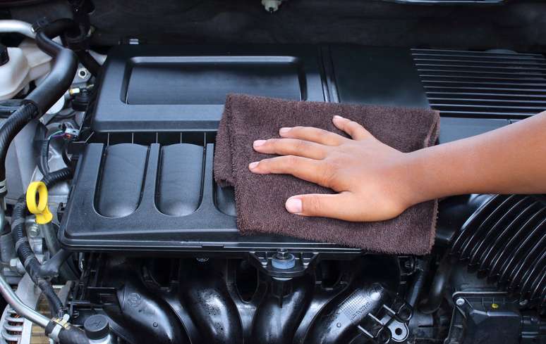 Caso seja necessária uma limpeza, use apenas um pano úmido