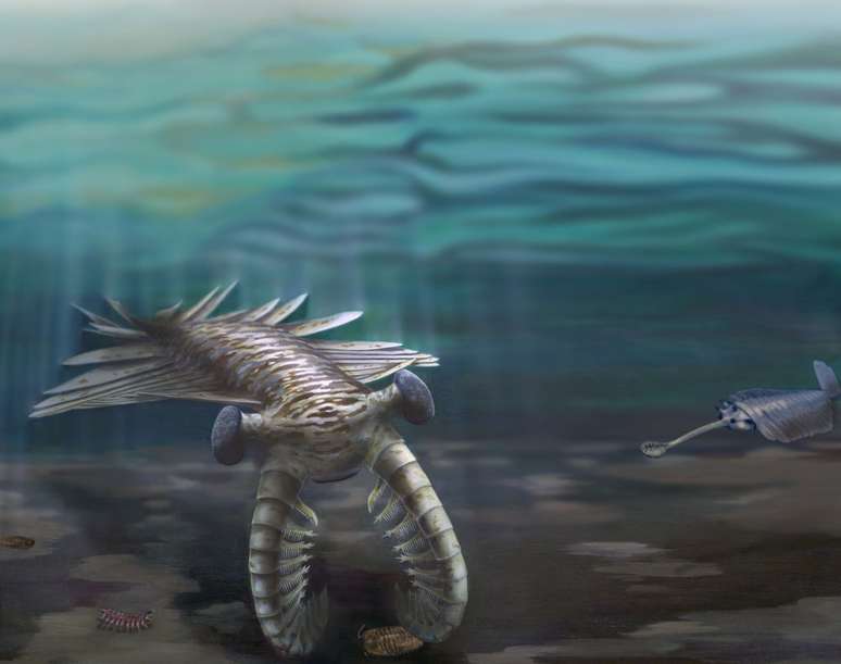 <p>Ilustra&ccedil;&atilde;o mostra um <em>Anomalocaris </em>gigante que &quot;investiga&quot; um trilobita&nbsp;no solo marinho. Ao lado, um pequeno &quot;cacto andante&quot; (<em>Diania crawls</em>) e, mais ao fundo, um <em>Opabinia </em>observa a cena. H&aacute; 540 milh&otilde;es de anos, nosso planeta experimentou uma &quot;explos&atilde;o&quot; na variedade de esp&eacute;cies e agora cientistas calcularam a taxa evolutiva do per&iacute;odo</p>