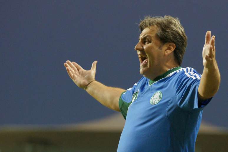 <p>Kleina entende que Palmeiras terá problemas por jogar seis partidas seguidas fora de casa</p>
