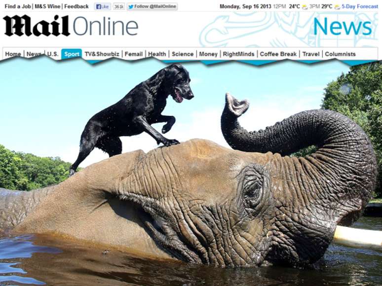 Bubbles, um elefante de 32 anos, brinca no rio com a cadela Bella, labradora de 3 anos